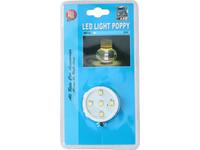 Poppy lamp, AllRide, 5 LEDS, wit, 24V 1
